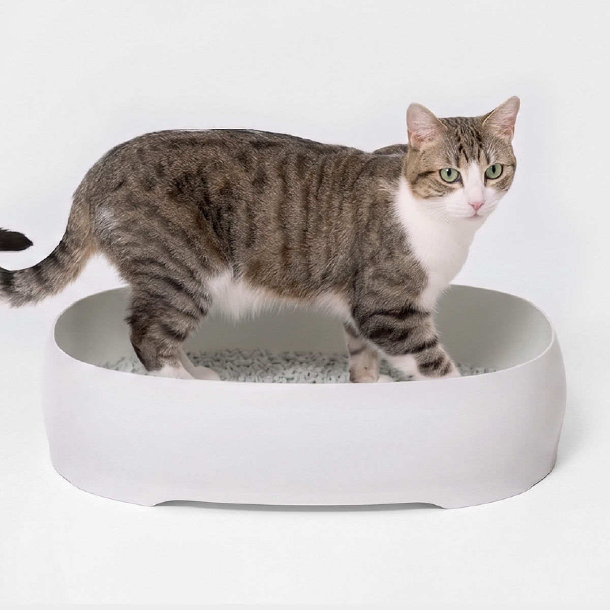 ペットトイレ ラプレ シームレスネコトイレ M ( 猫 トイレ 猫用 猫トイレ スコップ付き リッチェル ねこトイレ ねこ ネコ ペット用 ペット用品 オープンタイプ ) 【ニュートラルダークグレー】 ニュートラルダークグレー