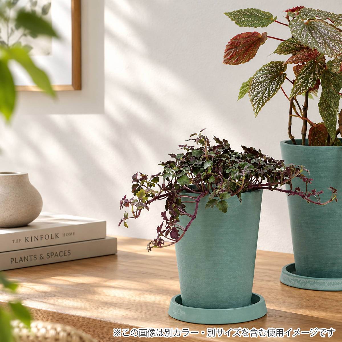 鉢植え プランター ボタニー トールポット 15型 （ 植木鉢 鉢 植木