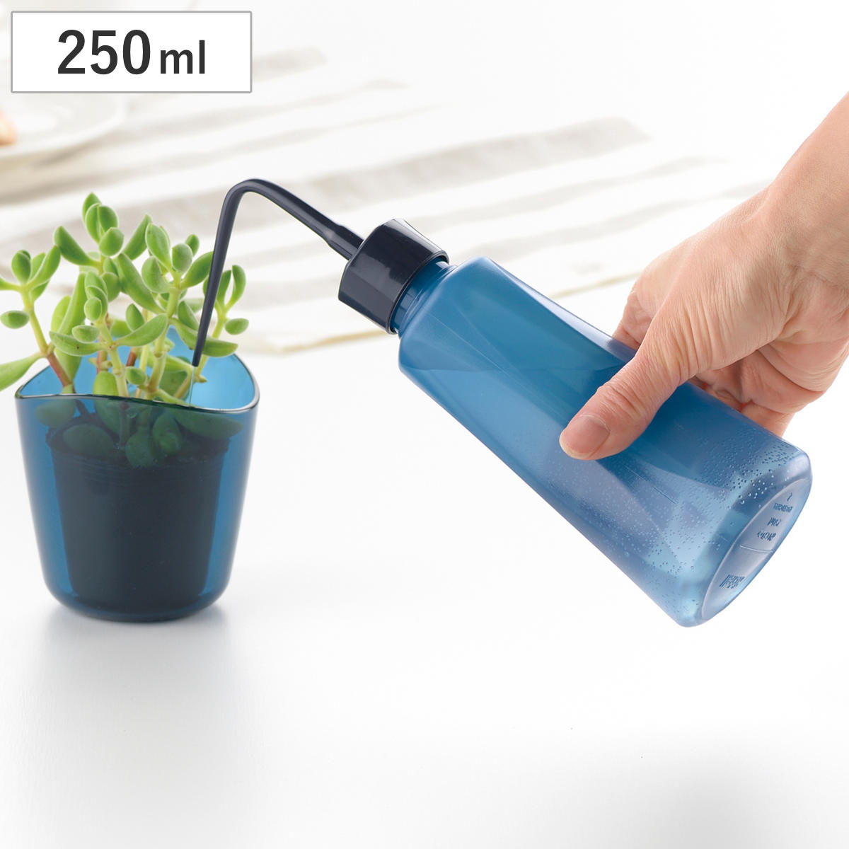 水差し プッシュ 水さし N 250ml 細長ノズル （ ジョウロ じょうろ 園芸 ガーデニング リッチェル 水やり プッシュ式 細口 観葉植物 ボトル ）