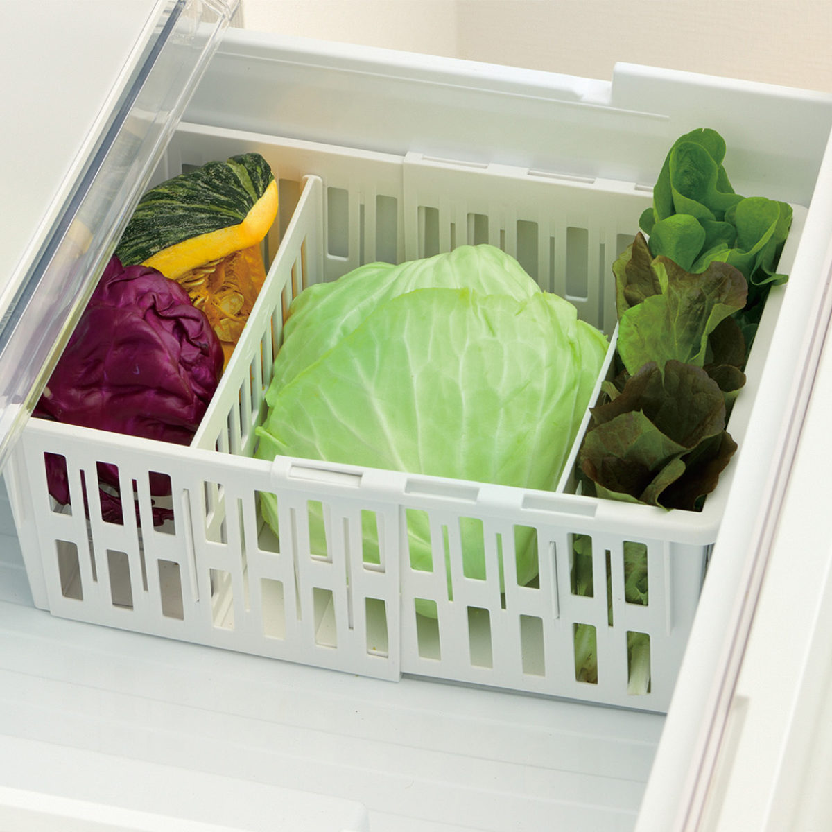 冷蔵庫収納 トトノ 野菜・冷凍庫 伸縮ストッカー深型 レギュラー （ 伸縮 冷凍庫収納 冷蔵庫 冷凍庫 冷凍庫スタンド 冷蔵庫スタンド 野菜