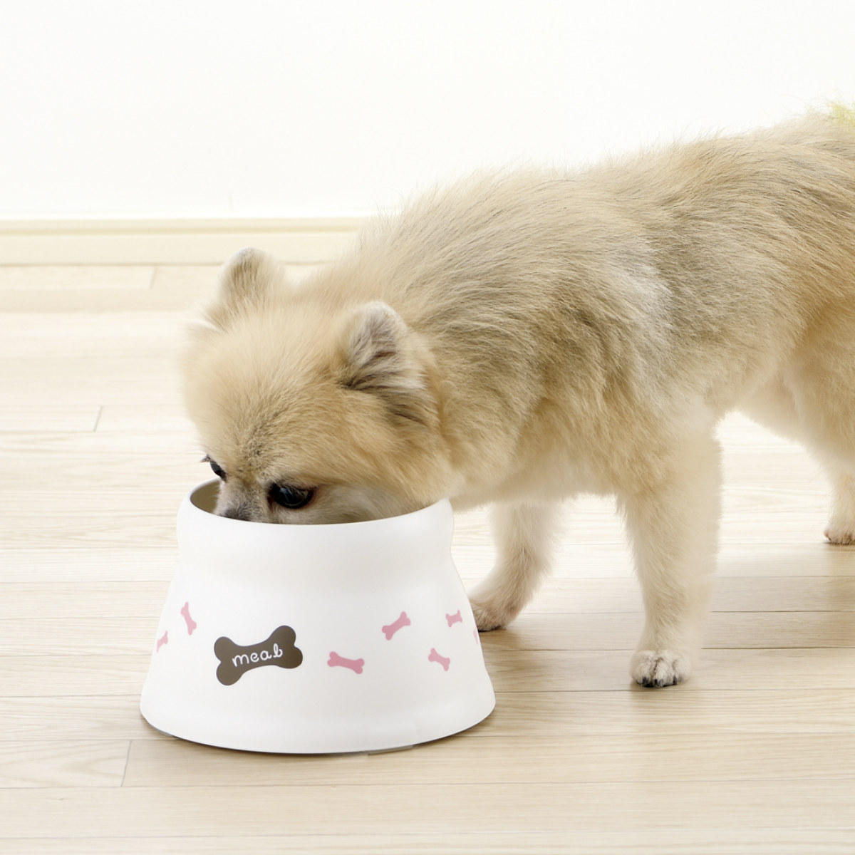 フードボウル こぼれにくい 脚付ドッグディッシュ SS ( リッチェル ペットボウル 脚付き 高さがある 犬 超小型犬 ペット用 餌皿 エサ皿 食べやすい ペット用食器 えさ入れ 犬用 滑り止め付き ペット用品 )