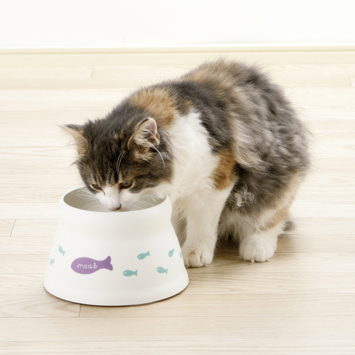 フードボウル こぼれにくい 脚付キャットディッシュ S ( リッチェル ペットボウル 脚付き 高さがある 猫 成猫用 ペット用 餌皿 エサ皿 食べやすい ペット用食器 えさ入れ 猫用 滑り止め付き ペット用品 )