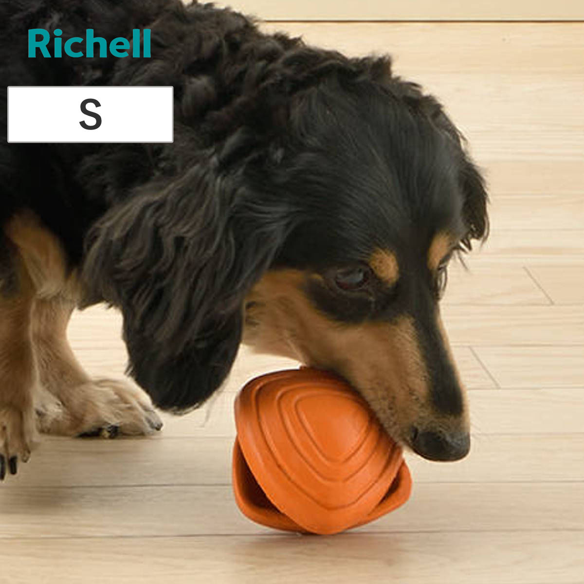 知遊玩具 犬用 グルー ペック S ドッグフード入れ （ リッチェル エサ入れ 小型犬 知育 玩具 ペット 犬 ドッグ 用品 おもちゃ おやつ ボール フード 噛む トイ ドッグトイ 犬用玩具 ペットおもちゃ 餌入れ トレーニング ）