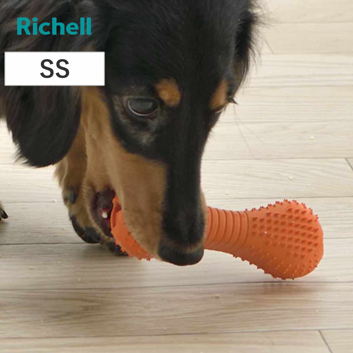 知遊玩具 犬用 グルー ブラッシュ SS ドッグフード入れ （ リッチェル エサ入れ 小型犬 知育 玩具 ペット 犬 ドッグ 用品 おもちゃ おやつ フード 噛む トイ ドッグトイ 犬用玩具 ペットおもちゃ 餌入れ トレーニング ）