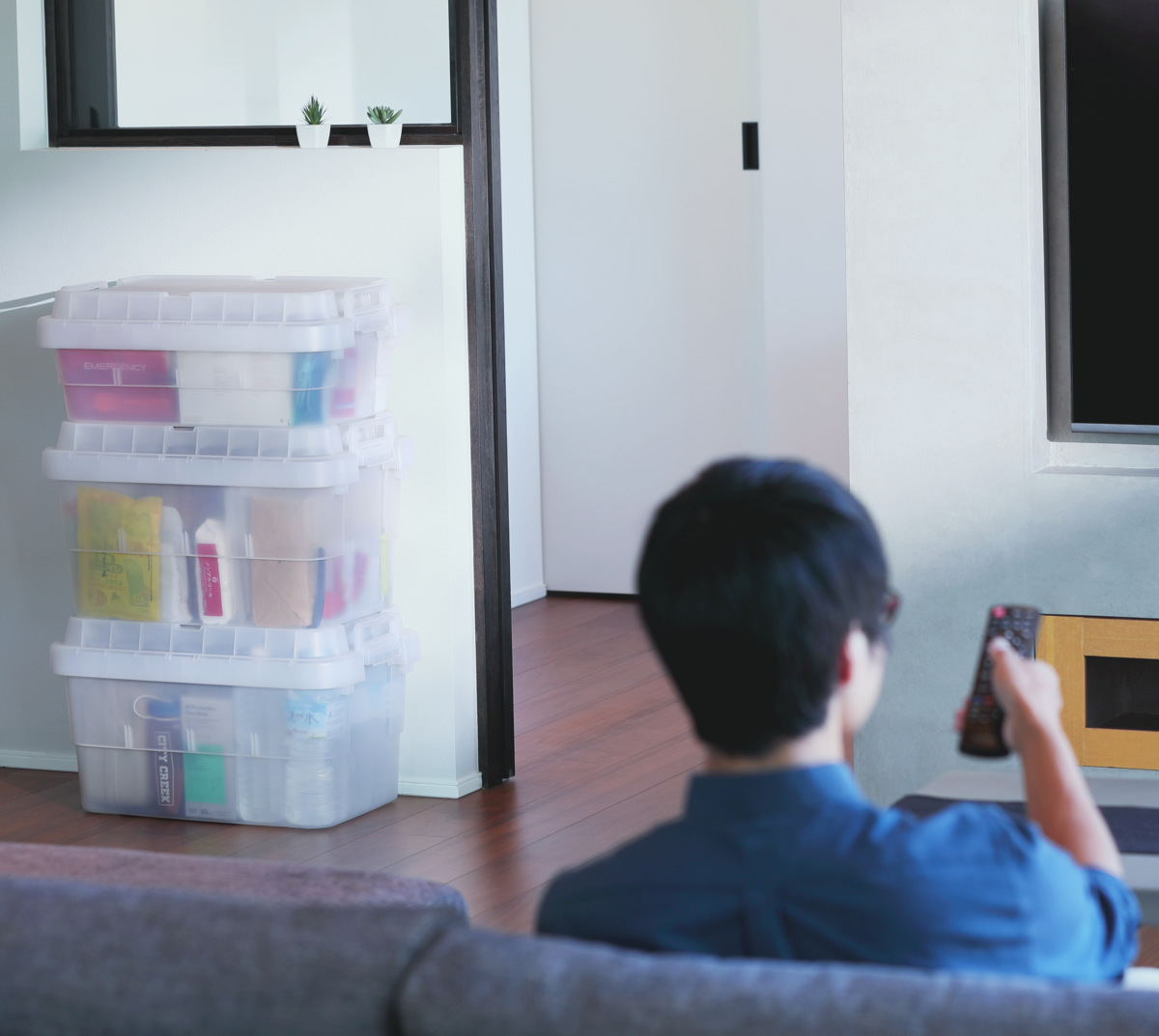 収納ボックス 幅60×奥行39×高さ35.7cm トランクカーゴ スタッキング クリアタイプ 50L TC-50S ( リス 座れる 収納ケース 収納 ボックス 頑丈箱 フタ付き ケース ストック ストッカー プラスチック 持ち手付き 日本製 コンテナ ) 【クリア】 クリア