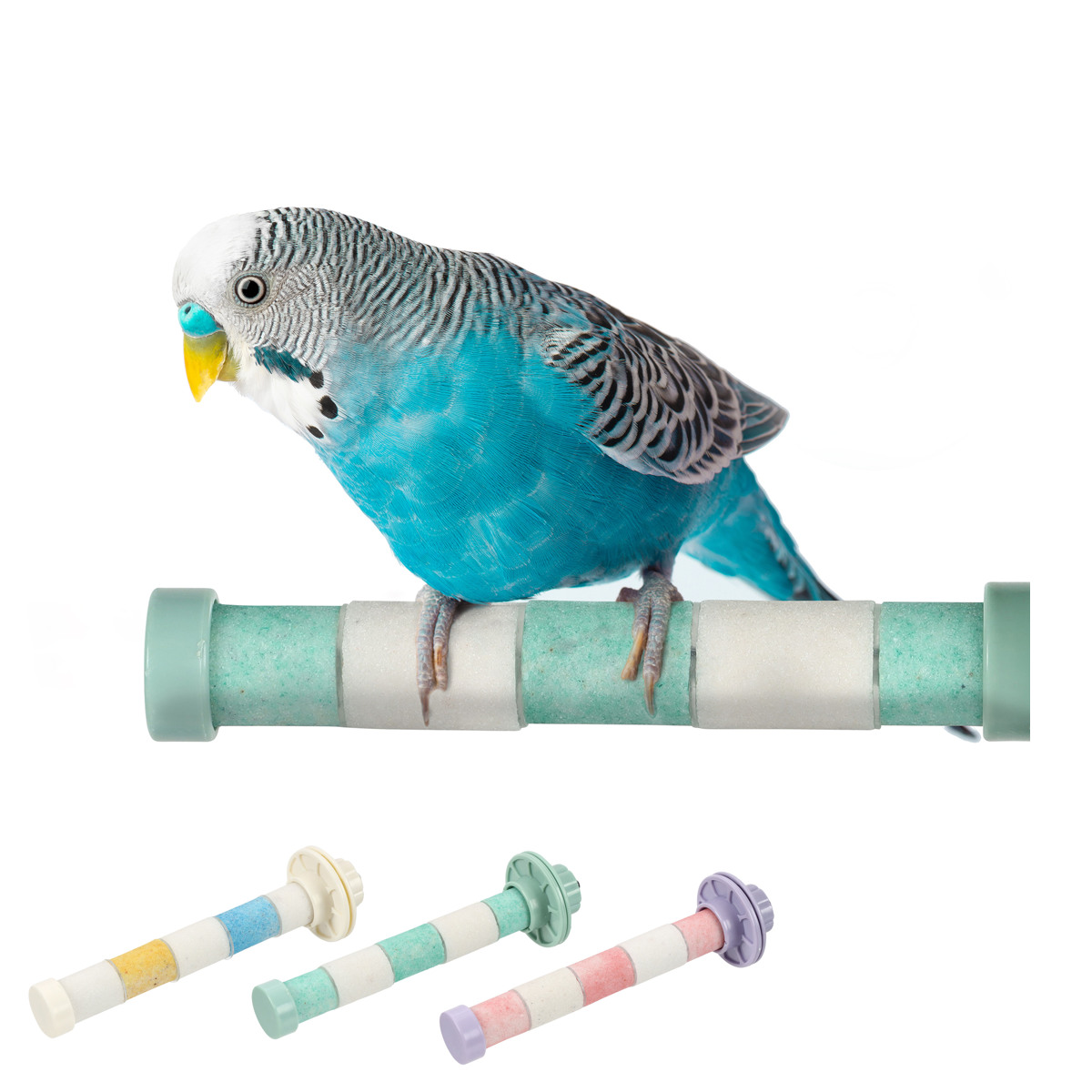 止まり木 爪とぎ ループ バディ クオーツパーチ （ 鳥用止まり木