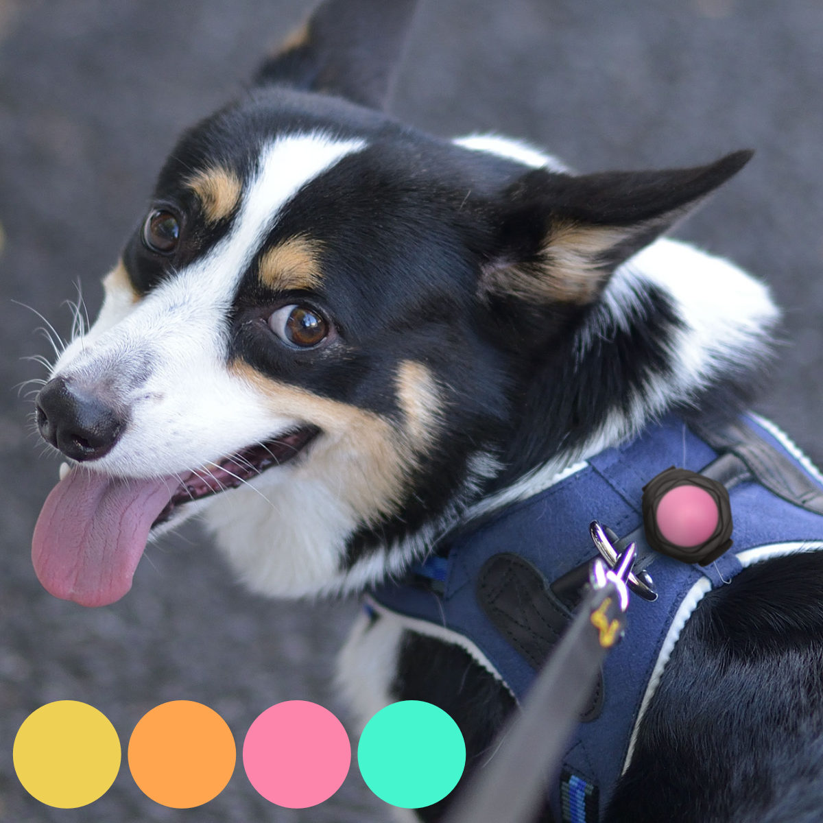 ライト 散歩 犬 ループセイフ ルーセントLED ( 犬用ライト 夜散歩 充電式 LED 生活防水 光る 明るい おしゃれ 犬用 夜 お散歩ライト 安心 安全 事故防止 ペット用品 ) 【イエロー】