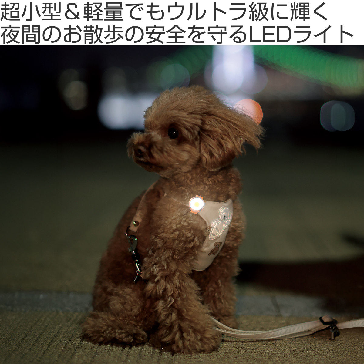 ライト 散歩 犬 ループセイフ ウルトラLED ( 夜 お散歩 お散歩ライト LED 光る 犬用ライト 防水 充電式 お出かけ 夜散歩 生活防水 明るい おしゃれ 犬用 安心 安全 事故防止 ペット用品 充電 USB充電 超軽量 簡単取付 コンパクト ) 【ブラック】 ブラック