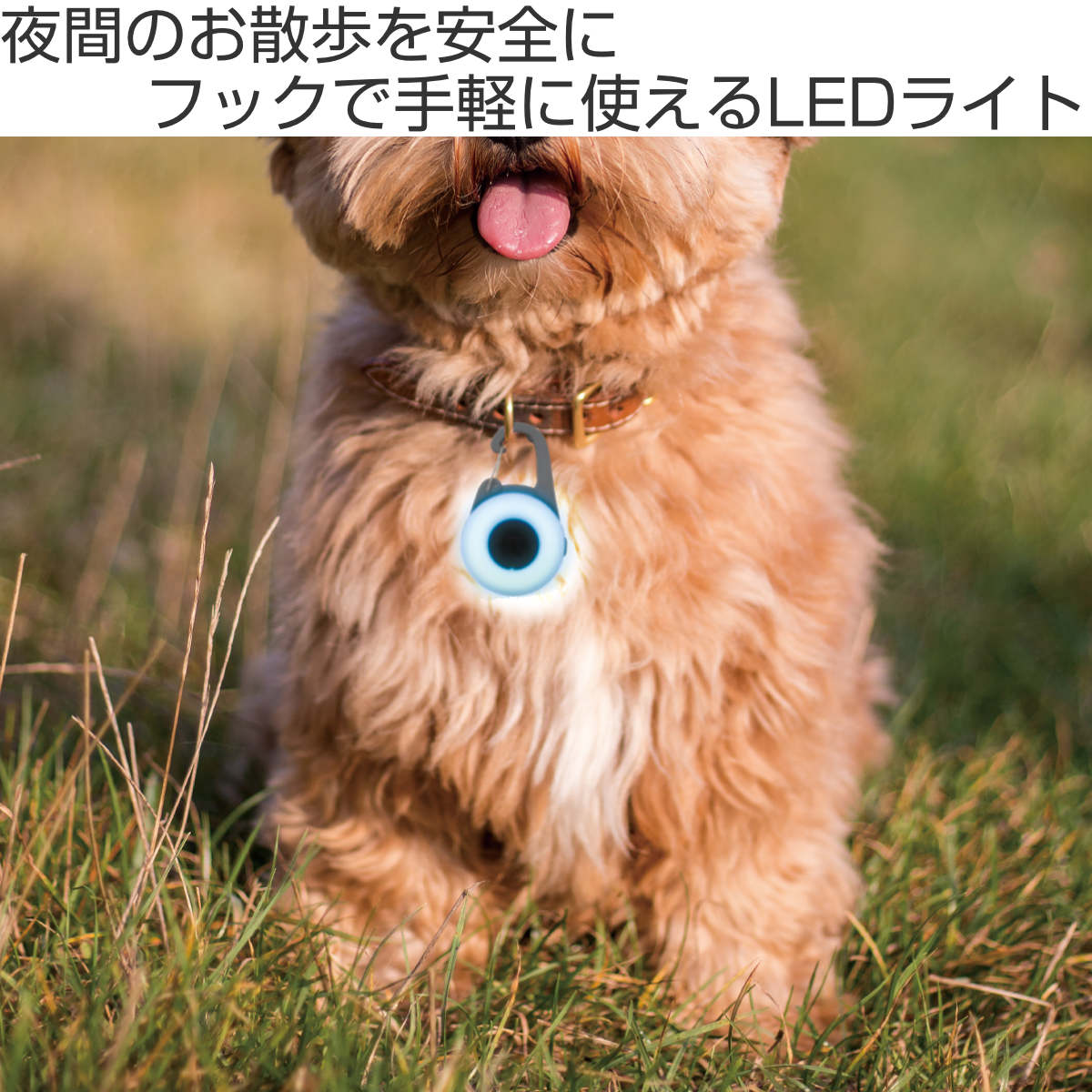 ライト 散歩 犬 ウルトラLED ループセイフ ウルトラLEDプラス ( 夜 お散歩 お散歩ライト LED 光る 犬用ライト 防水 充電式 お出かけ 夜散歩 明るい おしゃれ 犬用 事故防止 ペット用品 充電 USB充電 超軽量 簡単取付 コンパクト ) 【ホワイト】 ホワイト