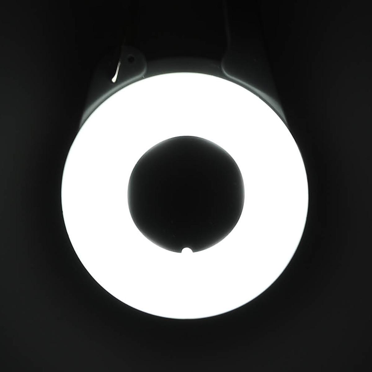 ライト 散歩 犬 ウルトラLED ループセイフ ウルトラLEDプラス ( 夜 お散歩 お散歩ライト LED 光る 犬用ライト 防水 充電式 お出かけ 夜散歩 明るい おしゃれ 犬用 事故防止 ペット用品 充電 USB充電 超軽量 簡単取付 コンパクト ) 【ホワイト】 ホワイト