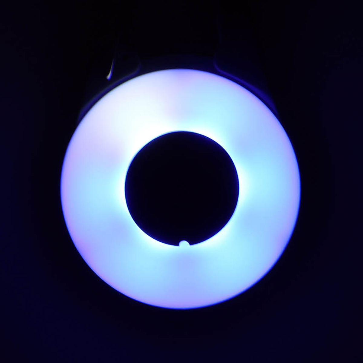 ライト 散歩 犬 ウルトラLED ループセイフ ウルトラLEDプラス ( 夜 お散歩 お散歩ライト LED 光る 犬用ライト 防水 充電式 お出かけ 夜散歩 明るい おしゃれ 犬用 事故防止 ペット用品 充電 USB充電 超軽量 簡単取付 コンパクト ) 【ホワイト】 ホワイト