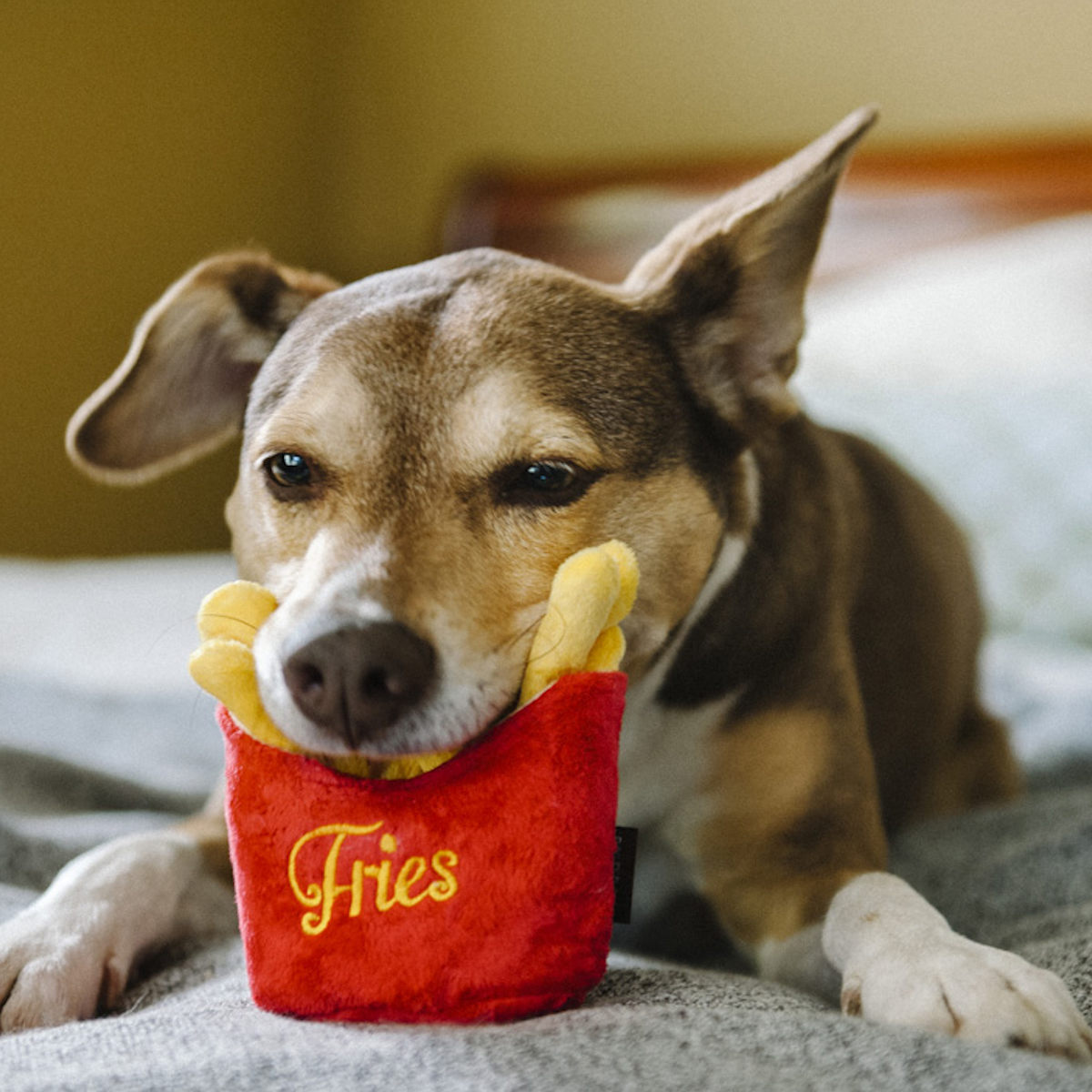 犬用おもちゃ PLAY アメリカンクラシック フレンチフライ ペット ( 犬 おもちゃ ポテト ぬいぐるみ 鳴き笛入り 丸洗いOK 安全基準 モチーフ ユニークデザイン ぬいぐるみトイ ベロア素材 )