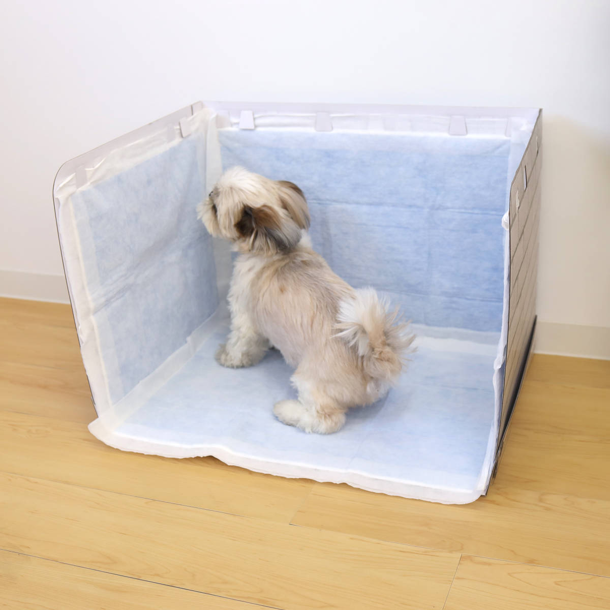ペット わんちゃん用 組み立てトイレ 飛散ガード 防災用 （ 犬 壁付きトイレ 犬用トイレ ペットトイレ ドッグトイレ しつけ おしっこ 飛び散り防止 足上げ シーツ破れ防止 簡単組み立て ）