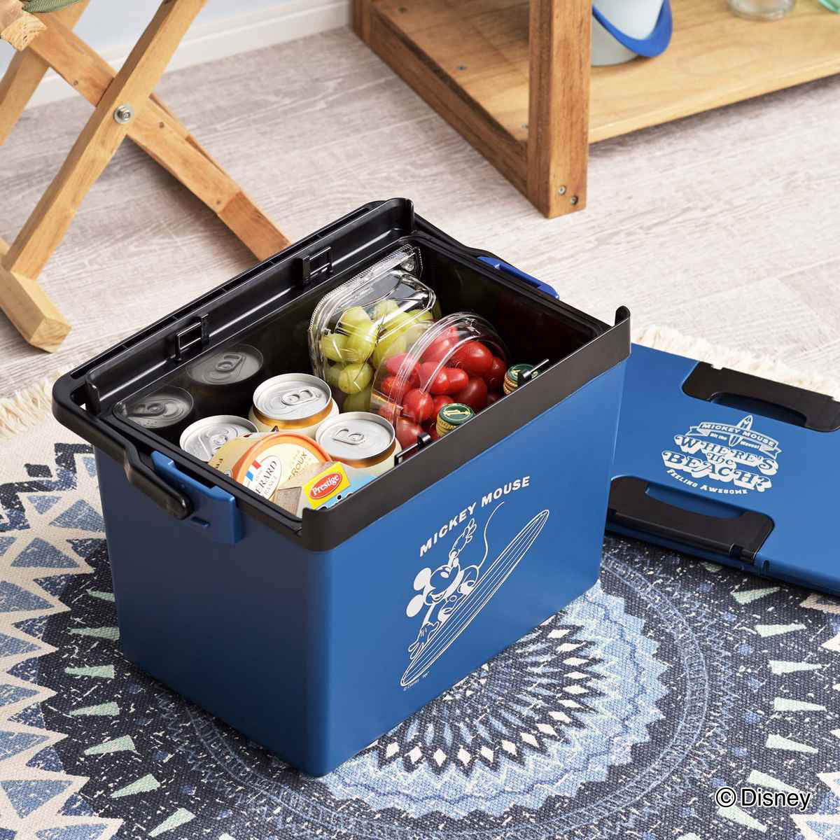 クーラーボックス 12L ディズニークールボックス2 ミッキー プーさん ( ディズニー Disney ミッキーマウス くまのプーさん 保冷 クーラーBOX 保冷ボックス キャンプ アウトドア ハンドル付き ショルダーベルト付き 日本製 ) 【アイボリー】 アイボリー