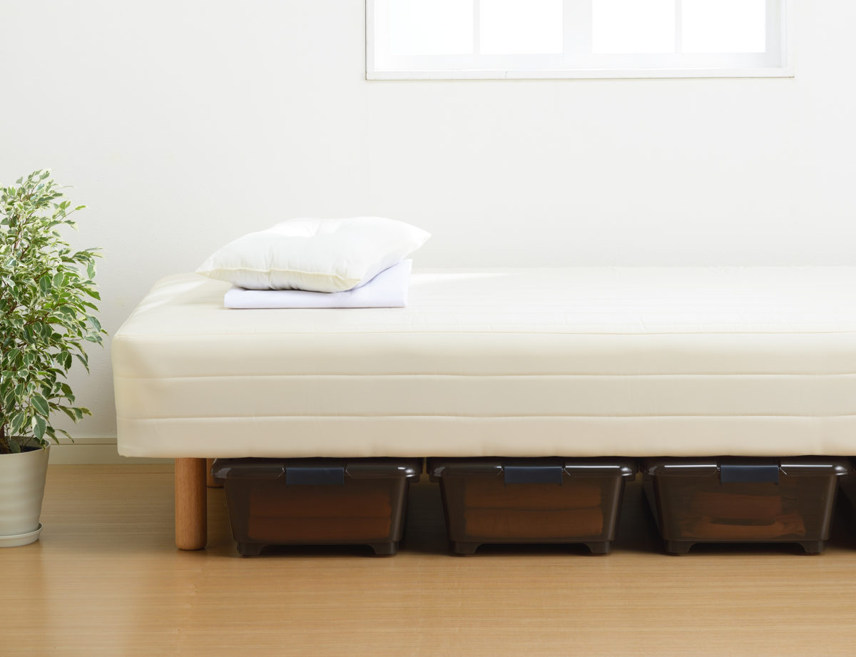 収納ケース ベッド下 収納BOX スモーク 幅40×奥行75×高さ18cm コロ付き ( 収納ボックス 縦置き 横置き プラスチック製 ベッド下収納 フタ付き 浅型 収納 衣類収納 キャスター付き 衣装ケース 押し入れ 押し入れ収納 ) 【ブラウン】 ブラウン