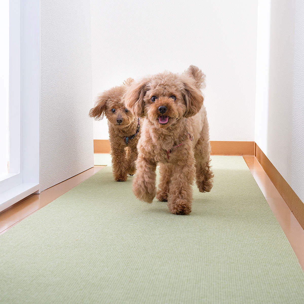 ペットマット ペット用 床保護マット 60×120cm 滑り止め 犬 猫 サンコー （ ペット マット タイルマット 洗える 撥水 消臭 ズレない  床保護 日本製 置くだけ 吸着 床暖房対応 滑りにくい 負担軽減 厚さ4mm おくだけ吸着 ） 【ベージュ】