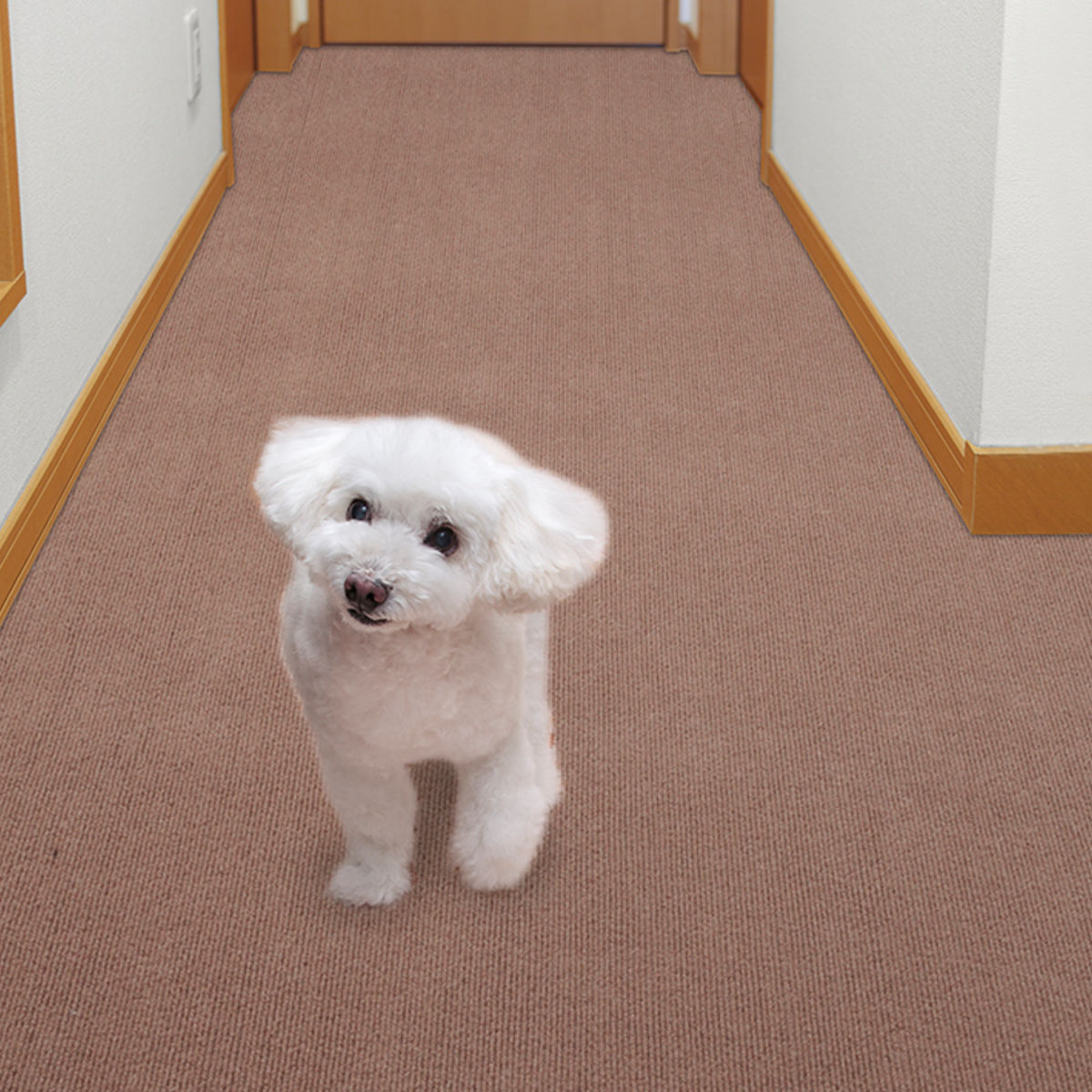 ペットマット ペット用 床保護マット 60×120cm 滑り止め 犬 猫