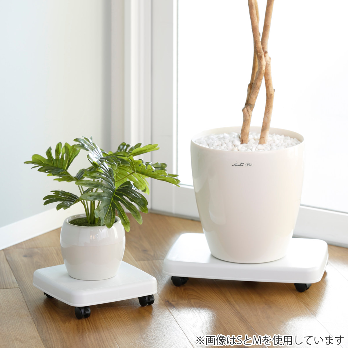 平台車 S キャスター付き 家庭用 押入れ ラクゴロ 日本製 ( ホームキャリー キャリーカート 家庭用台車 キャリー 台車 キャリーワゴン キャリー台車 小型 置台 軽量 シンプル ストッパー付き ) 【ホワイトグレー】 ホワイトグレー