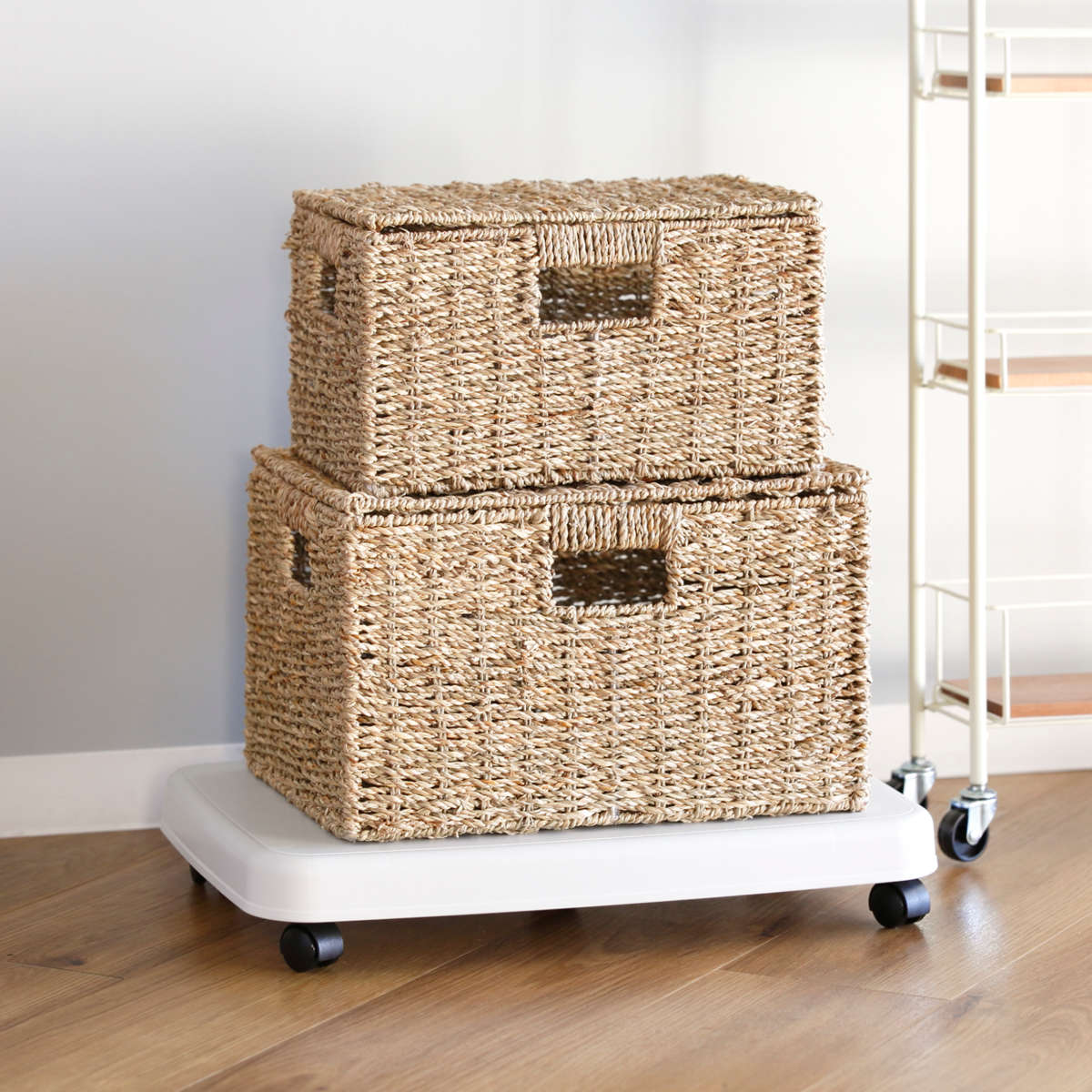 平台車 LL キャスター付き 家庭用 押入れ ラクゴロ 日本製 ( ホームキャリー キャリーカート 家庭用台車 キャリー 台車 キャリーワゴン キャリー台車 小型 置台 軽量 シンプル ストッパー付き ) 【ホワイトグレー】 ホワイトグレー