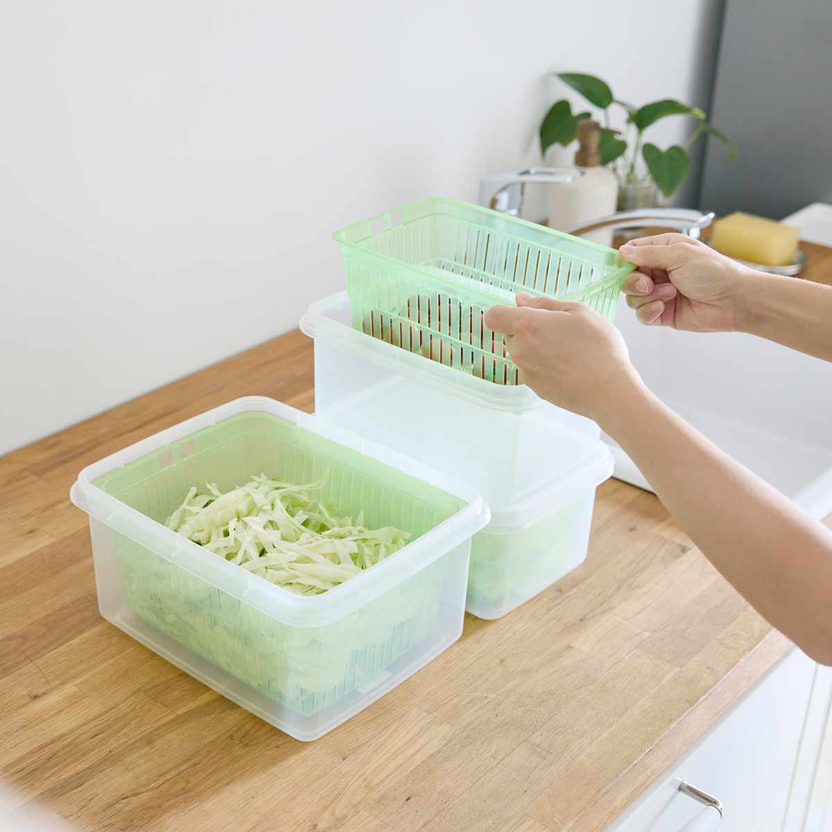 保存容器 3.6L ザル付きDパック ( ザル付き保存容器 プラスチック 野菜保存容器 フタ付き 野菜 冷蔵庫 日本製 角型 大容量 下ごしらえ 作り置き 野菜水切り 電子レンジ対応 冷蔵 水切り )