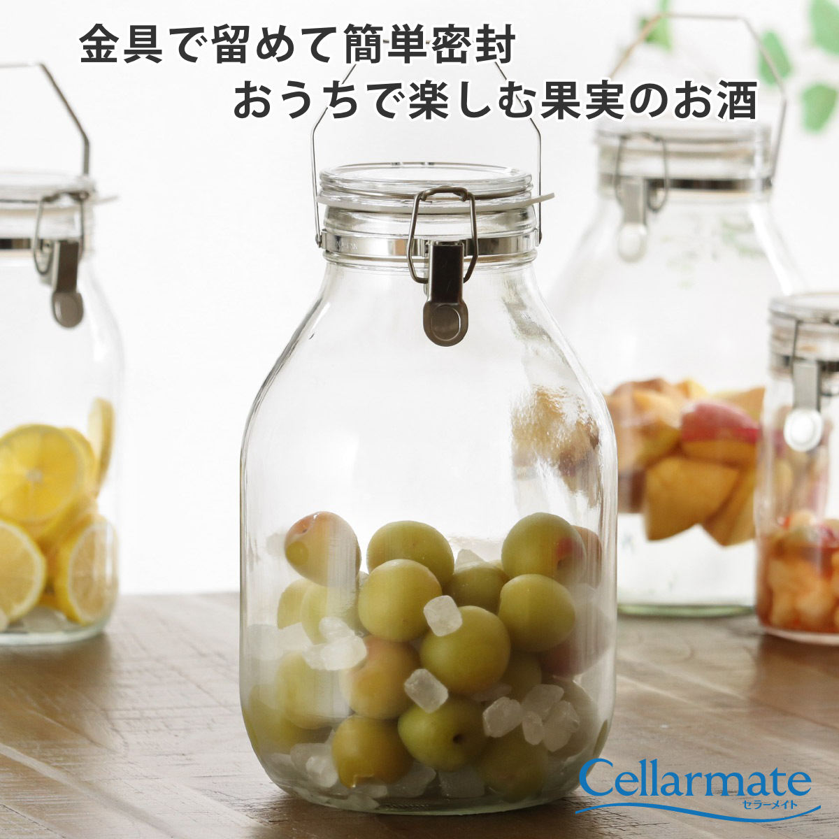 果実酒瓶セット 果実酒びん 4L 取手付密封びん セラーメイト （ 日本製 ガラス
