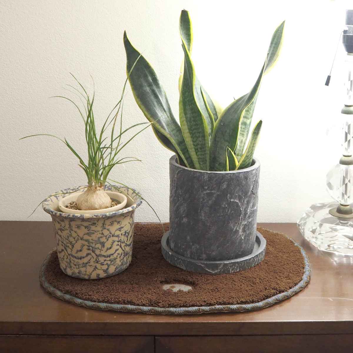 ミニマット Pce 動物 約30×40cm チェアパッド ( マット 小さめ チェアパット ハンドメイド 幅40cm 卓上 コンパクト ラグ 敷き物 インテリア おしゃれ 楕円 刺繍 ループ付き 吊り下げ 雑貨 ) 【コアラ】 コアラ