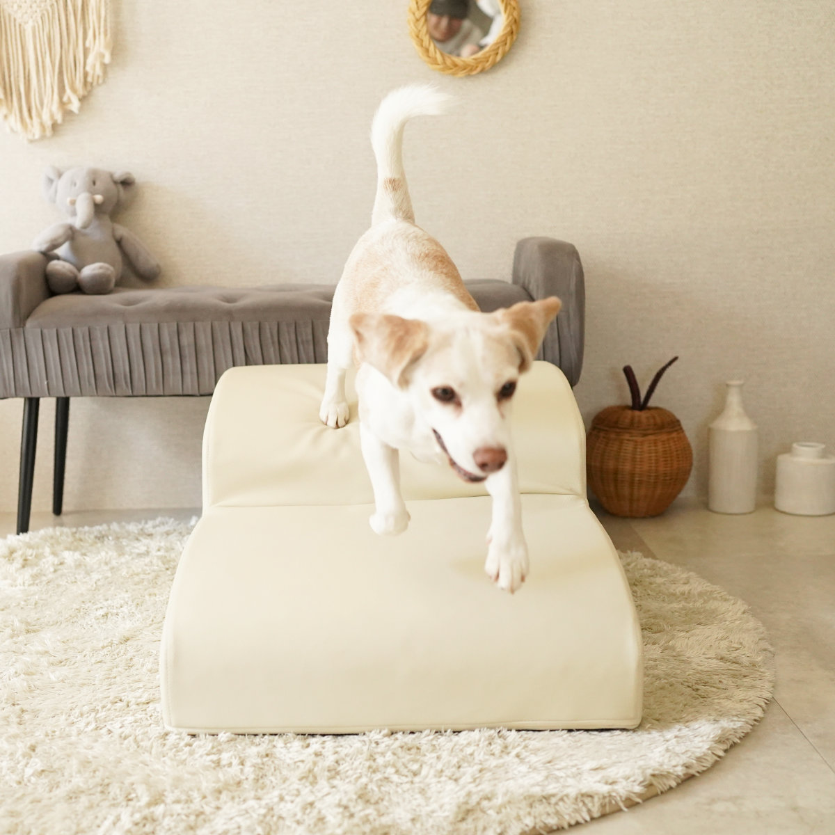 ドッグステップ ワイド 2段 小型犬用 階段型ソファ ( ペットソファ ペット ステップ スロープ クッション シンプル 無地 PVC生地 レザー調 お手入れ簡単 ) 【グレー】 グレー