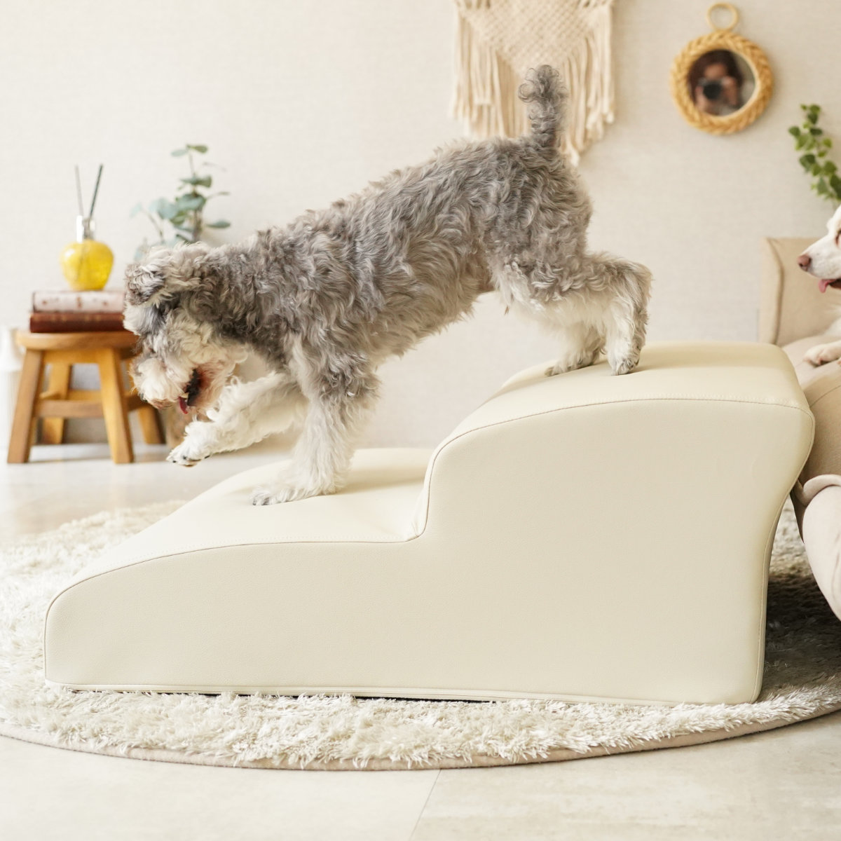 ドッグステップ ワイド 2段 小型犬用 階段型ソファ ( ペットソファ ペット ステップ スロープ クッション シンプル 無地 PVC生地 レザー調 お手入れ簡単 ) 【グレー】 グレー