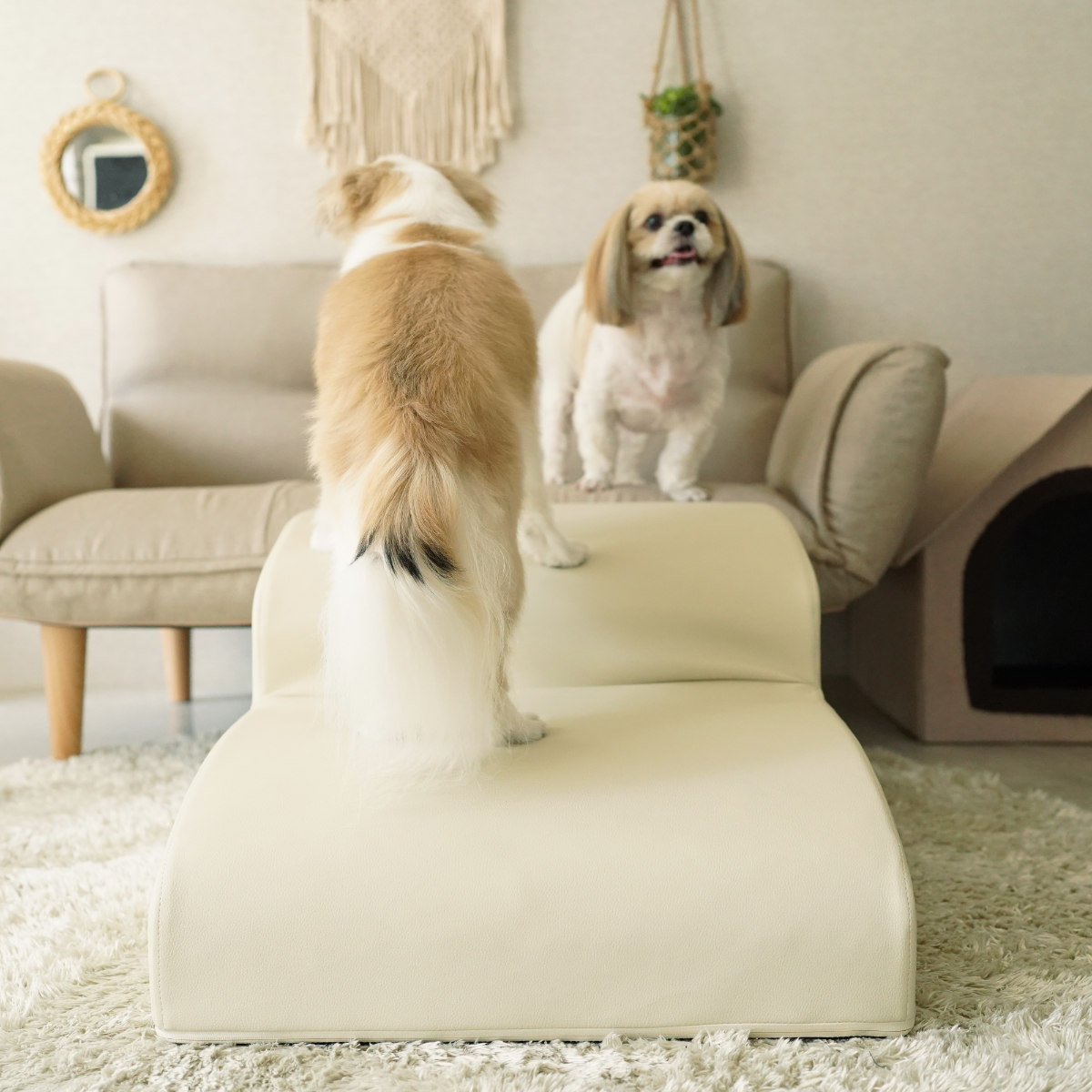 ドッグステップ ワイド 2段 小型犬用 階段型ソファ ( ペットソファ ペット ステップ スロープ クッション シンプル 無地 PVC生地 レザー調 お手入れ簡単 ) 【グレー】 グレー