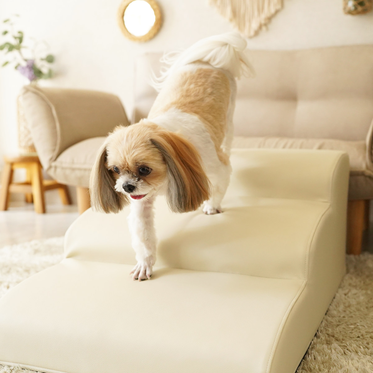 ドッグステップ ワイド 3段 小型犬用 階段型ソファ ( ペットソファ ペット ステップ スロープ クッション シンプル 無地 PVC生地 レザー調 お手入れ簡単 ) 【グレー】 グレー