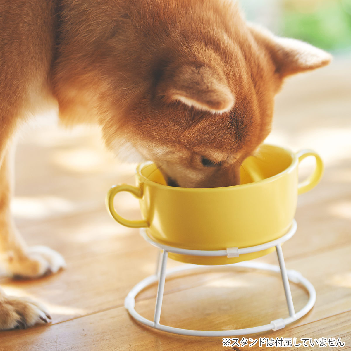 ペット フードボール S 磁器 早食い防止 ( 食器 エサ皿 餌皿 早食い防止ボウル フードボウル エサ 餌入れ ご飯入れ 犬用食器 猫用食器 ペット用 ペット用品 ) 【リンゴ】 リンゴ
