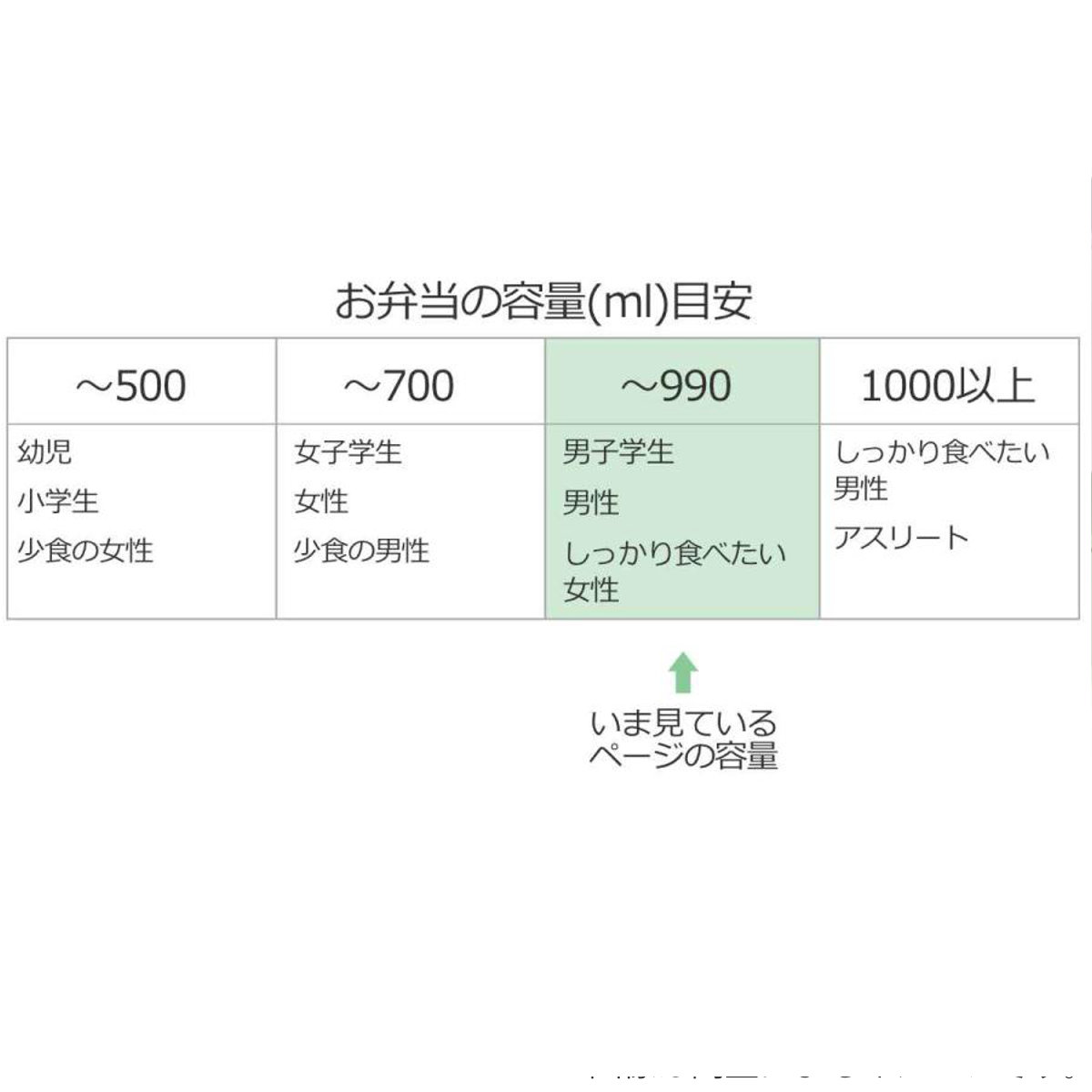弁当箱 1段 700ml 行楽ランチケースM スヌーピー バッジ ( ランチボックス 食洗機対応 レンジ対応 ランチケース 一段 日本製 食洗機OK レンジOK 保存容器 お弁当 弁当 密閉 容器 汁漏れしにくい )