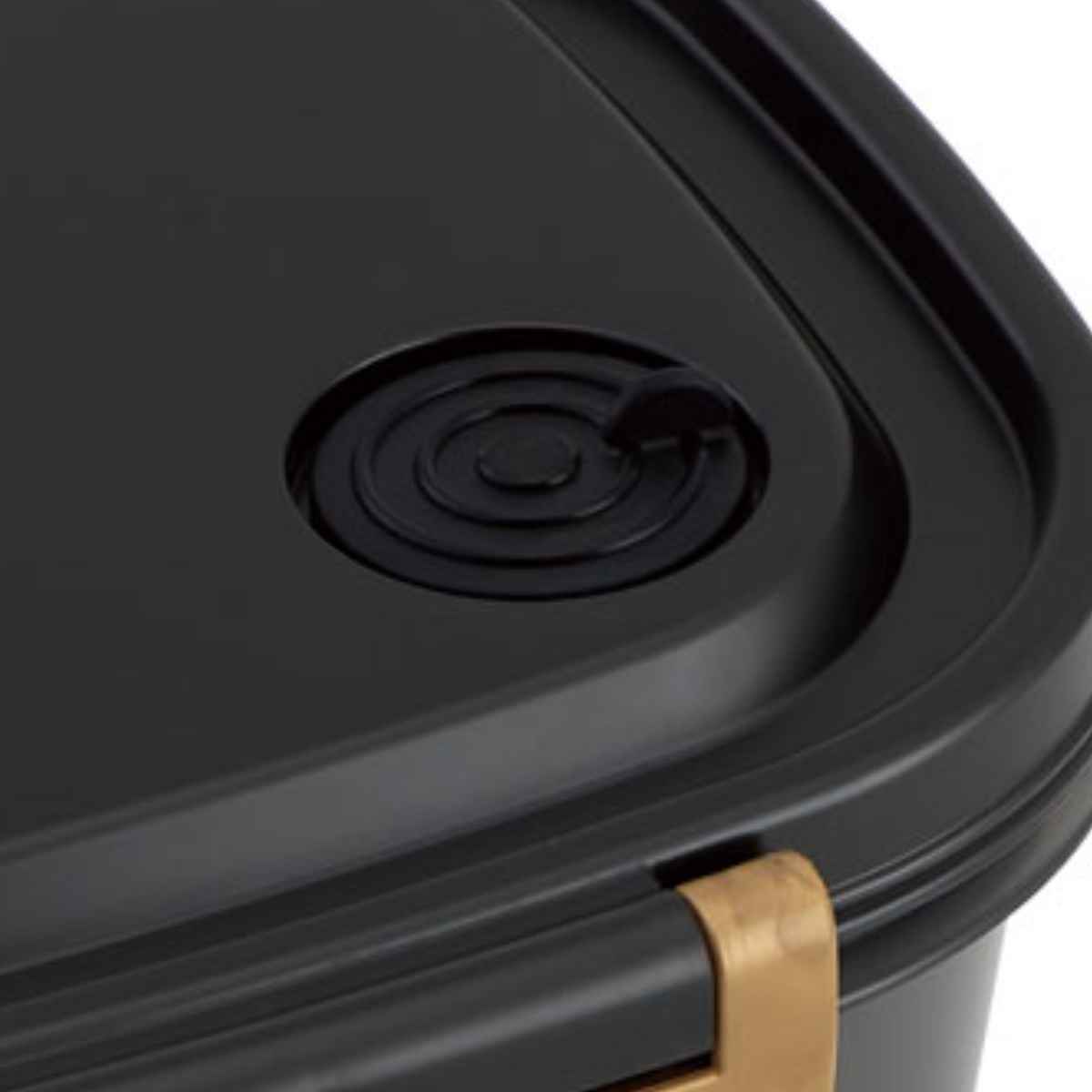 弁当箱 1段 720ml キャラクター ( RIZAP ポケモン ピカチュウ レンジ対応 食洗機対応 お弁当箱 ランチボックス 冷凍 軽量 レンジ 食洗機 対応 お弁当 弁当 ラク軽弁当箱 一段 仕切り付き かわいい 日本製 ) 【ライザップ】 ライザップ