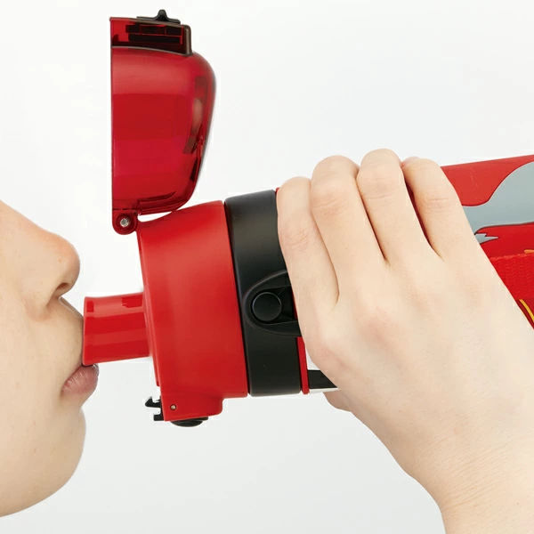 水筒 ステンレス 直飲み 3Dロック付ダイレクトボトル カーズ 480ml 子供 ( 保冷 幼稚園 保育園 3D キッズ キャラクター ワンプッシュ 直飲みステンレス ステンレス製 子供用水筒 ボトル キャラ )