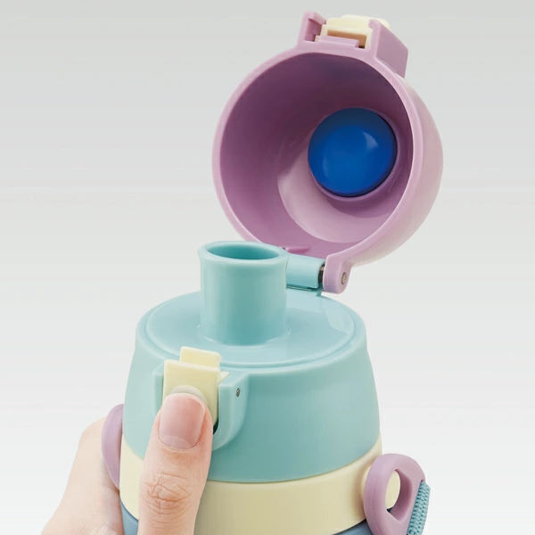 水筒 ステンレス 直飲み 3Dロック付ダイレクトボトル アナと雪の女王 480ml 子供 ( 保冷 幼稚園 保育園 アナユキ 3D キッズ キャラクター ワンプッシュ 直飲みステンレス ステンレス製 子供用水筒 ボトル キャラ )