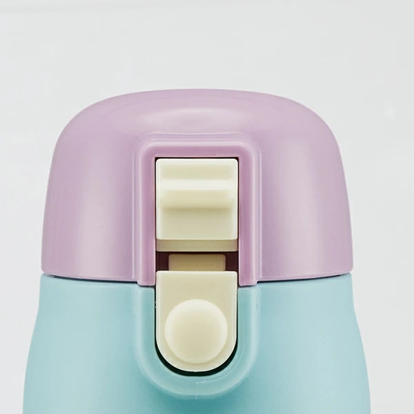 水筒 ステンレス 直飲み 3Dロック付ダイレクトボトル アナと雪の女王 480ml 子供 ( 保冷 幼稚園 保育園 アナユキ 3D キッズ キャラクター ワンプッシュ 直飲みステンレス ステンレス製 子供用水筒 ボトル キャラ )