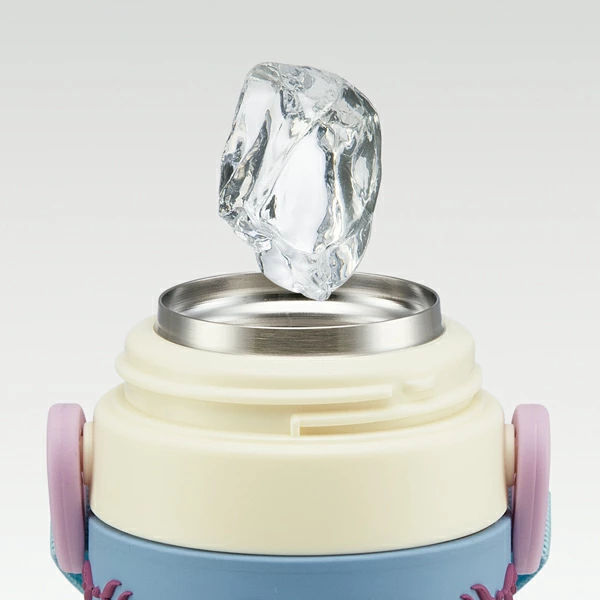 水筒 ステンレス 直飲み 3Dロック付ダイレクトボトル アナと雪の女王 480ml 子供 ( 保冷 幼稚園 保育園 アナユキ 3D キッズ キャラクター ワンプッシュ 直飲みステンレス ステンレス製 子供用水筒 ボトル キャラ )