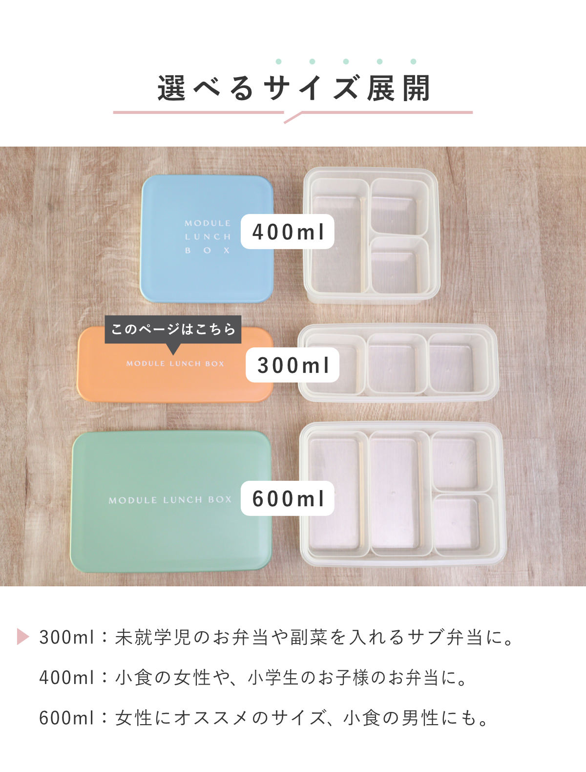弁当箱 冷凍 1段 300ml MODULE ランチ S グリッド ( お弁当箱 レンジ対応 食洗機対応 ランチボックス 日本製 冷凍OK レンジOK 食洗機OK 軽量 軽い お弁当 弁当 一段 仕切り付き 保存容器 かわいい ) 【レッド】 レッド