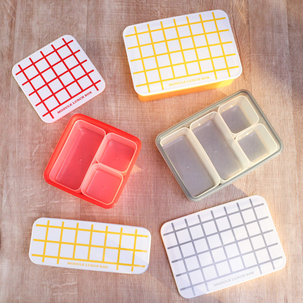 弁当箱 冷凍 1段 300ml MODULE ランチ S グリッド ( お弁当箱 レンジ対応 食洗機対応 ランチボックス 日本製 冷凍OK レンジOK 食洗機OK 軽量 軽い お弁当 弁当 一段 仕切り付き 保存容器 かわいい ) 【レッド】 レッド