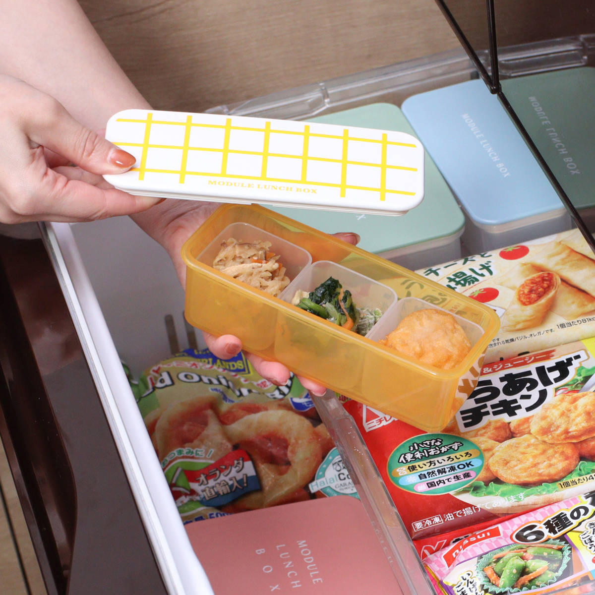 弁当箱 冷凍 1段 300ml MODULE ランチ S グリッド ( お弁当箱 レンジ対応 食洗機対応 ランチボックス 日本製 冷凍OK レンジOK 食洗機OK 軽量 軽い お弁当 弁当 一段 仕切り付き 保存容器 かわいい ) 【レッド】 レッド