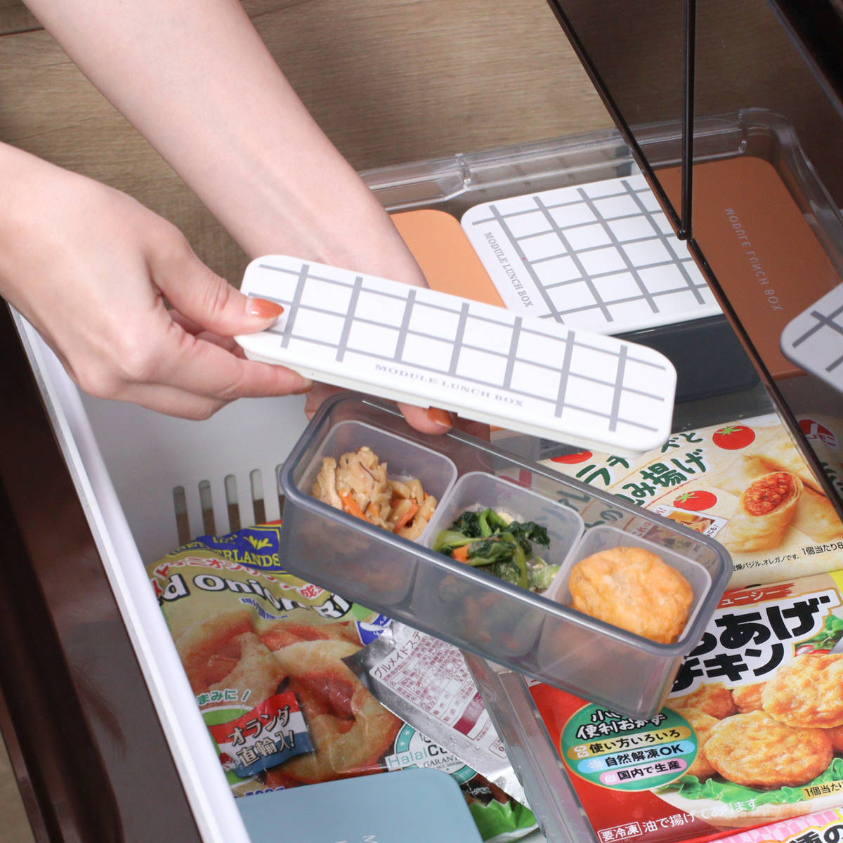 弁当箱 冷凍 1段 300ml MODULE ランチ S グリッド ( お弁当箱 レンジ対応 食洗機対応 ランチボックス 日本製 冷凍OK レンジOK 食洗機OK 軽量 軽い お弁当 弁当 一段 仕切り付き 保存容器 かわいい ) 【レッド】 レッド