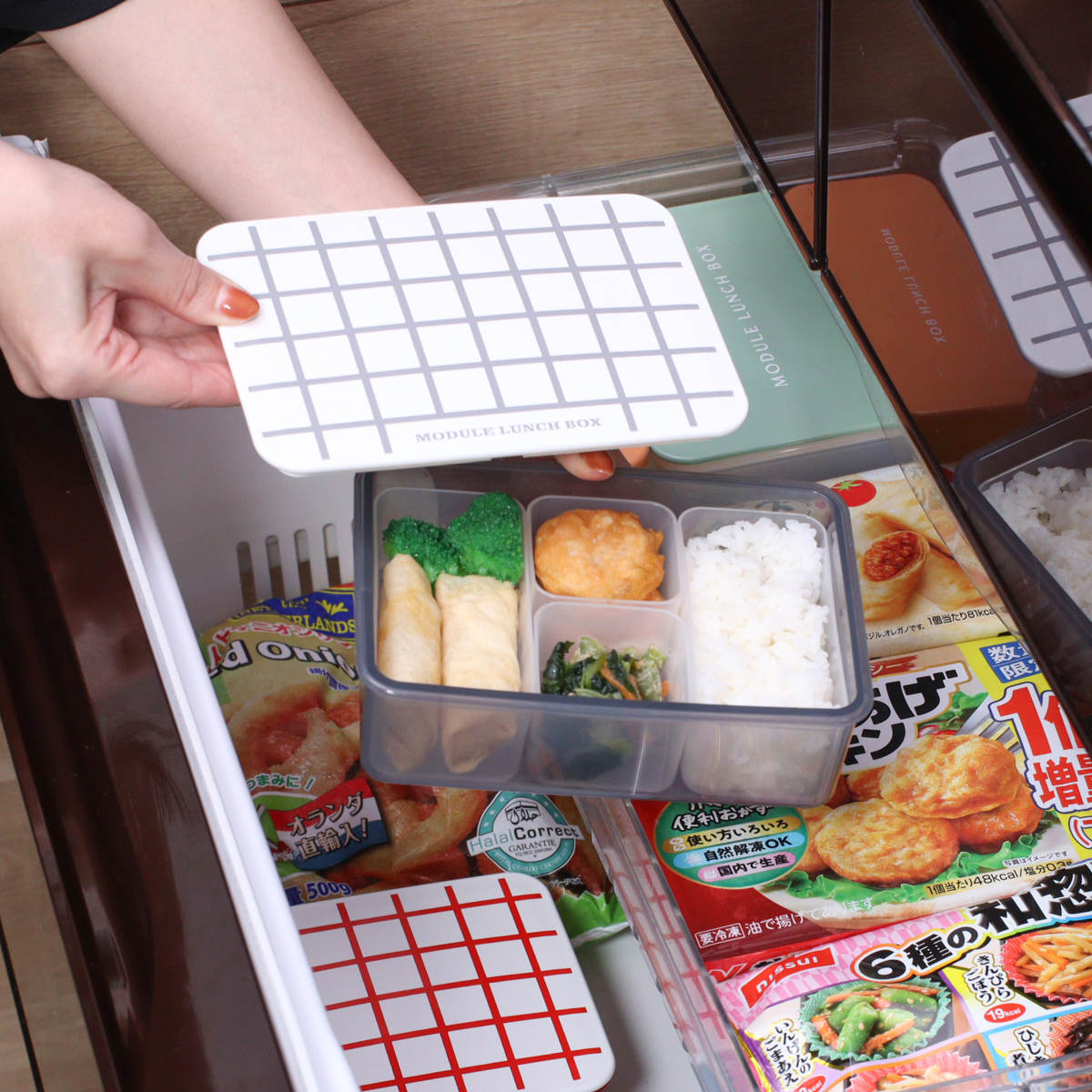 弁当箱 冷凍 1段 600ml MODULE ランチ L グリッド ( お弁当箱 レンジ対応 食洗機対応 ランチボックス 日本製 冷凍OK レンジOK 食洗機OK 軽量 軽い お弁当 弁当 一段 仕切り付き 保存容器 かわいい ) 【イエロー】 イエロー