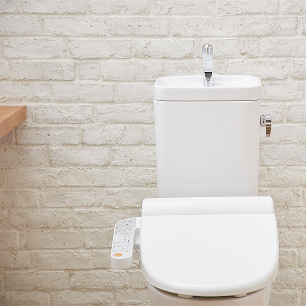 トイレタンクの洗浄剤 8回分 35g クラフトマンシップ 木村石鹸 ( 洗剤 トイレそうじ トイレタンク 洗浄剤 自然派 洗浄 除菌 トイレ用 トイレ トイレ掃除 )