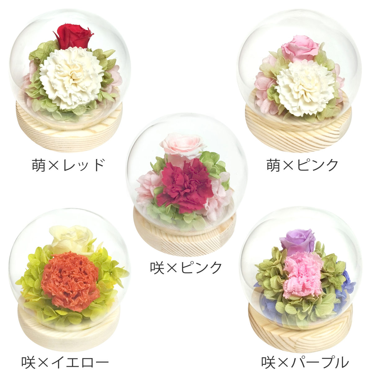 プリザーブドフラワー スフィアドームアレンジ ガラス ドーム ( 花 プレゼント フラワーギフト アレンジメント ガラスドーム 幅10cm コンパクト お花 母の日 インテリア 華やか 玄関 リビング 寝室 飾り ディスプレイ ) 【咲×パープル】 咲×パープル