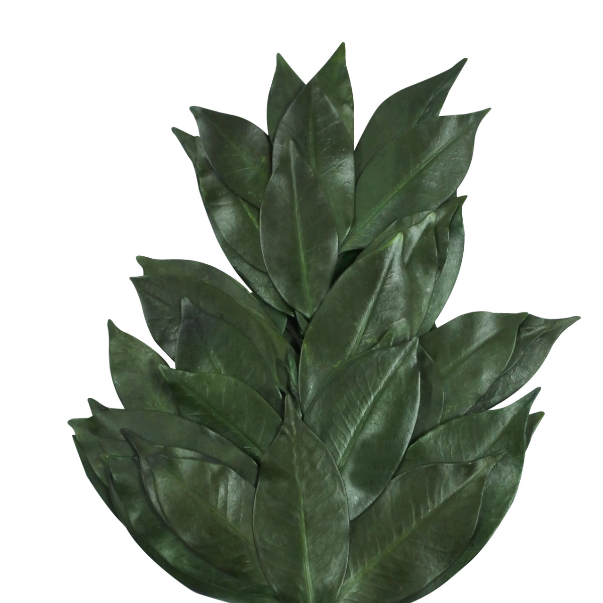 榊 神具 プリザーブド榊 コンパクト榊 一対 高さ25cm ( 造花 プリザーブドフラワー 枯れない 水換え不要 仏壇 お供え 葉 花 フェイクフラワー フェイクグリーン 日本製 供花 御供え 枯れない花 夏 人工 お盆 お彼岸 お墓 法要 )