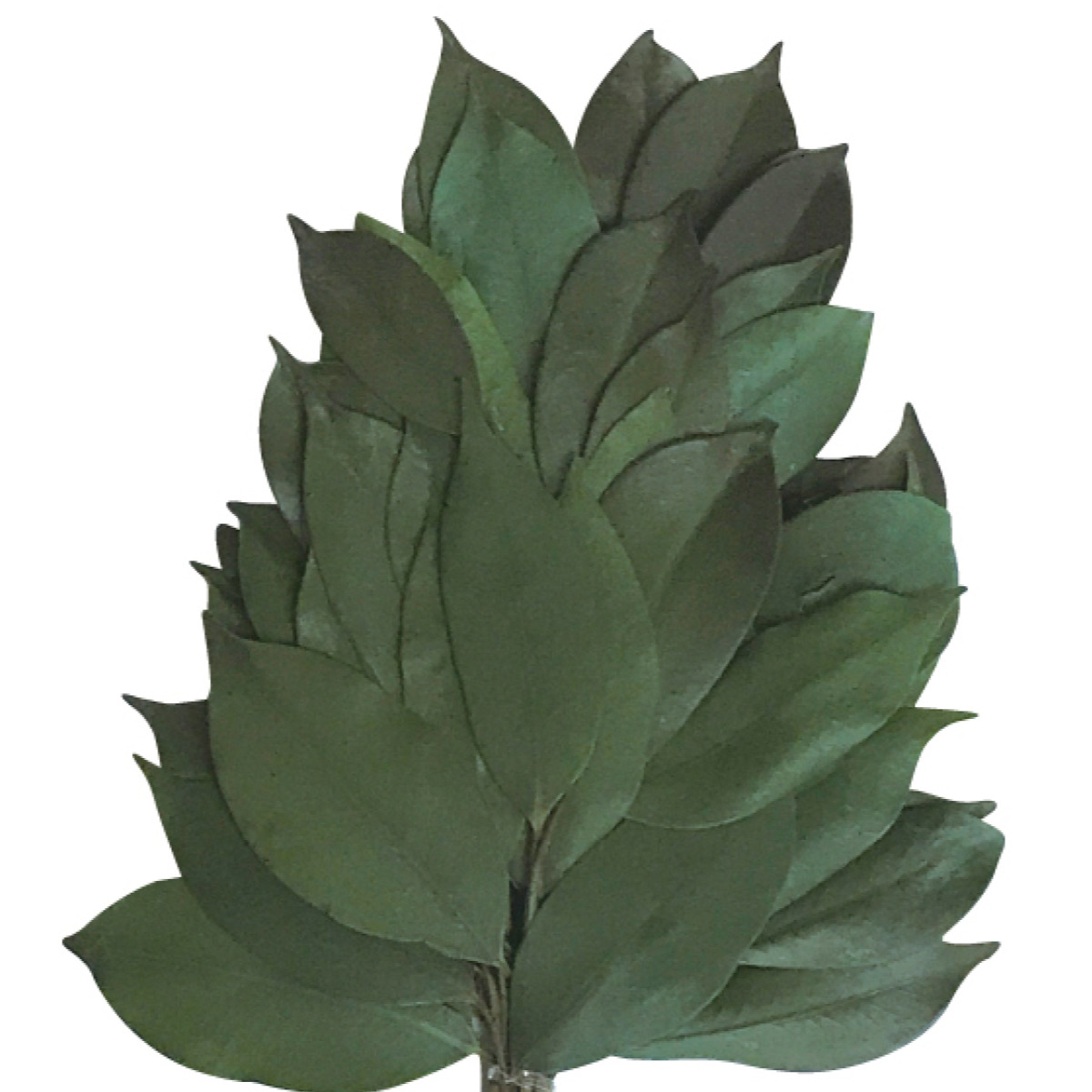 榊 神具 プリザーブド榊 一対 高さ32cm ( 造花 プリザーブドフラワー 枯れない 水換え不要 仏壇 お供え 葉 花 フェイクフラワー フェイクグリーン 日本製 供花 御供え 枯れない花 夏 人工 お盆 お彼岸 お墓 法要 法事 仏具 )