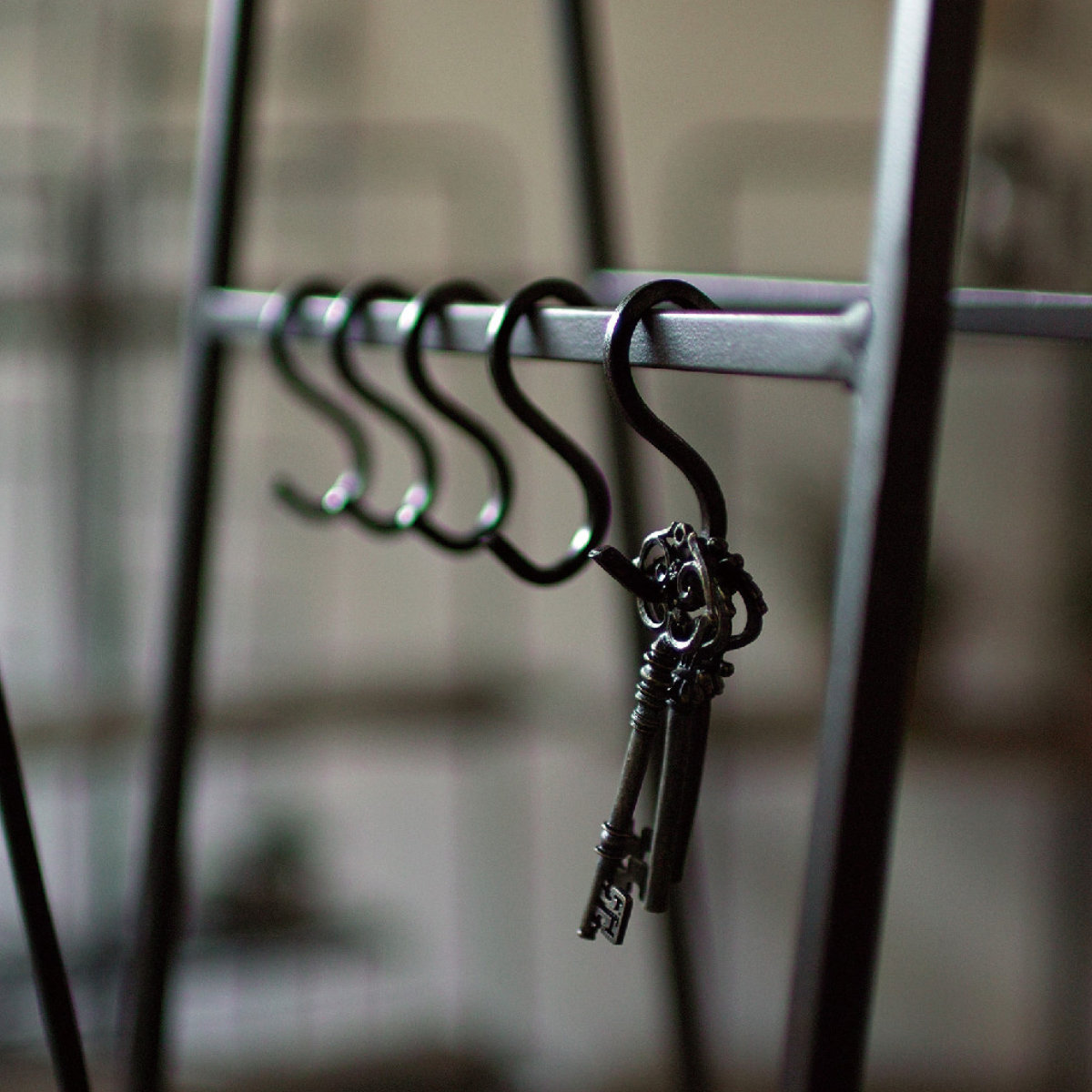 フック ジョセフアイアン ミニ S字フック 5個入り ( 吊り下げ ハンギング 吊るす 収納 DIY 金具 Sカン アイアンフック 引っ掛け 掛ける おしゃれ Sフック 小物 見せる収納 魅せる収納 )