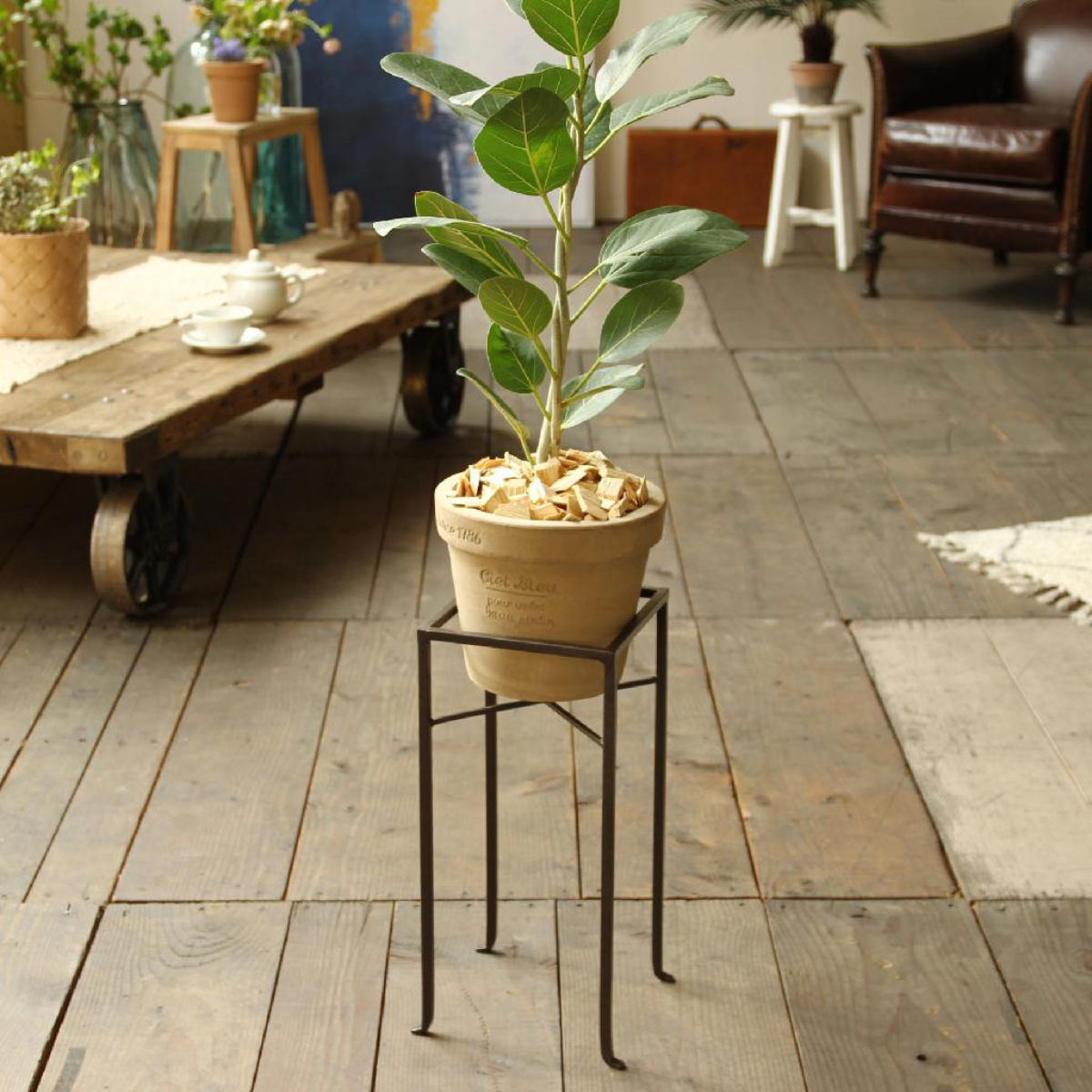 花台 ジョセフアイアン フラワープランターラック Mサイズ ( プランター スタンド ガーデニング用品 鉢置き 園芸 鉢台 庭 ベランダ テラス エントランス ガーデニング アイアンフレーム 角型 正方形 )