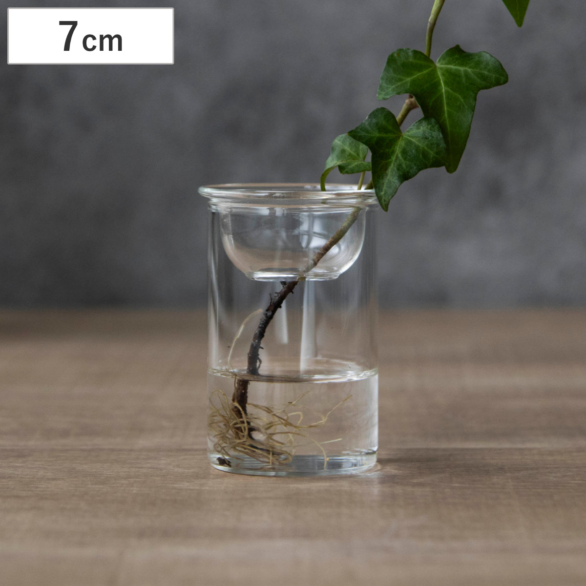 花瓶 MINI BULB VASE 水栽培ガラスベース 7cm 水耕栽培 ( 花器 ガラス おしゃれ フラワーベース 一輪挿し 花 クリア グリーン 栽培 ハーブ インテリア オブジェ ガラス製 飾る フラワーグラス 水栽培 )