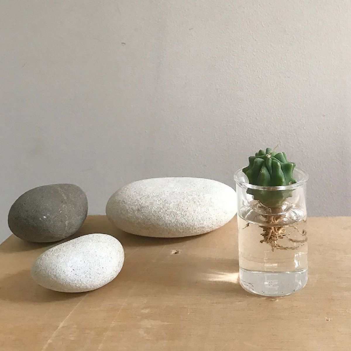 花瓶 MINI BULB VASE 水栽培ガラスベース 8.5cm 水耕栽培 ( 花器 ガラス おしゃれ フラワーベース 一輪挿し 花 クリア グリーン 栽培 ハーブ インテリア オブジェ ガラス製 飾る フラワーグラス 水栽培 )